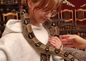 экзотические рептилии