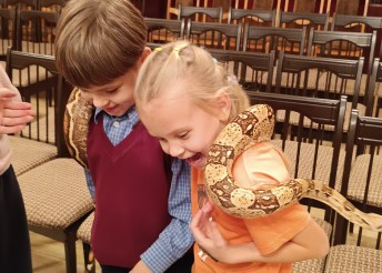 экзотические рептилии