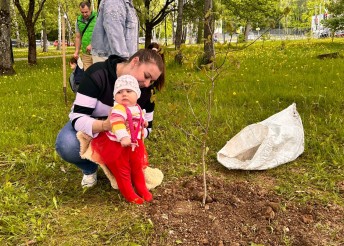 Семейная аллея