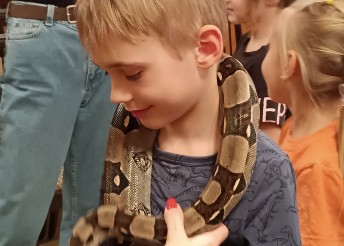 экзотические рептилии