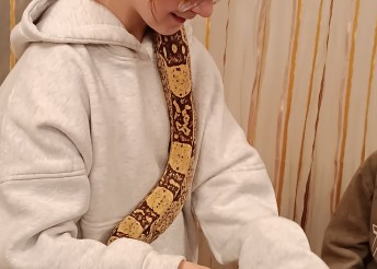 экзотические рептилии