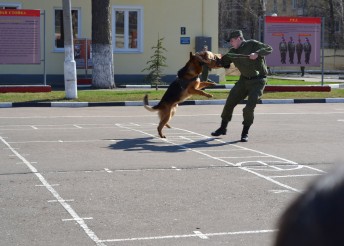 24 АПРЕЛЯ 2019 ГОДА В ЦЕЛЯХ ВОСПИТАНИЯ ПАТРИОТИЗМА И ЛЮБВИ К РОДИНЕ СОСТОЯЛАСЬ ЭКСКУРСИЯ В ВОИНСКУЮ ЧАСТЬ