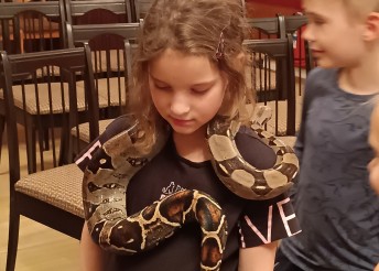 экзотические рептилии