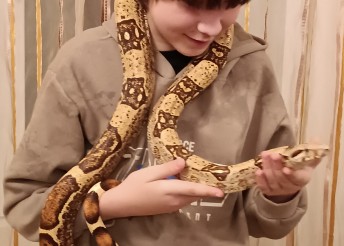 экзотические рептилии