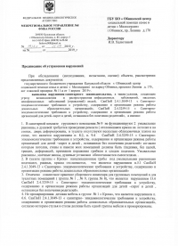 Представление 196п от 01.04.19 и отчет